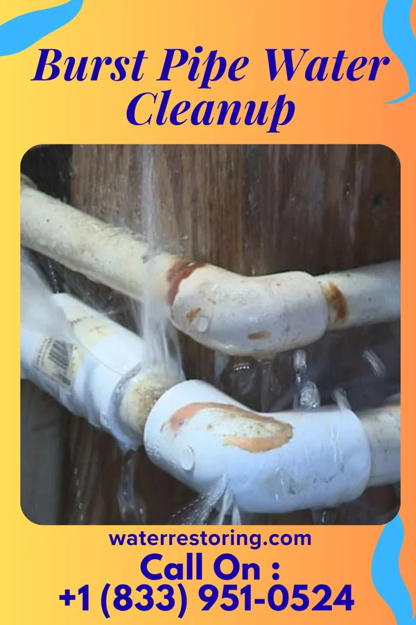 Burst Pipe Water Cleanup in McKee, KY