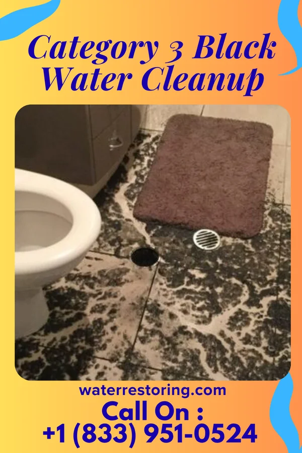 Category 3 Black Water Cleanup in McKee, KY