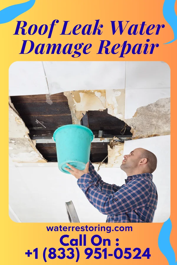 Roof Leak Water Damage Repair in McKee, KY